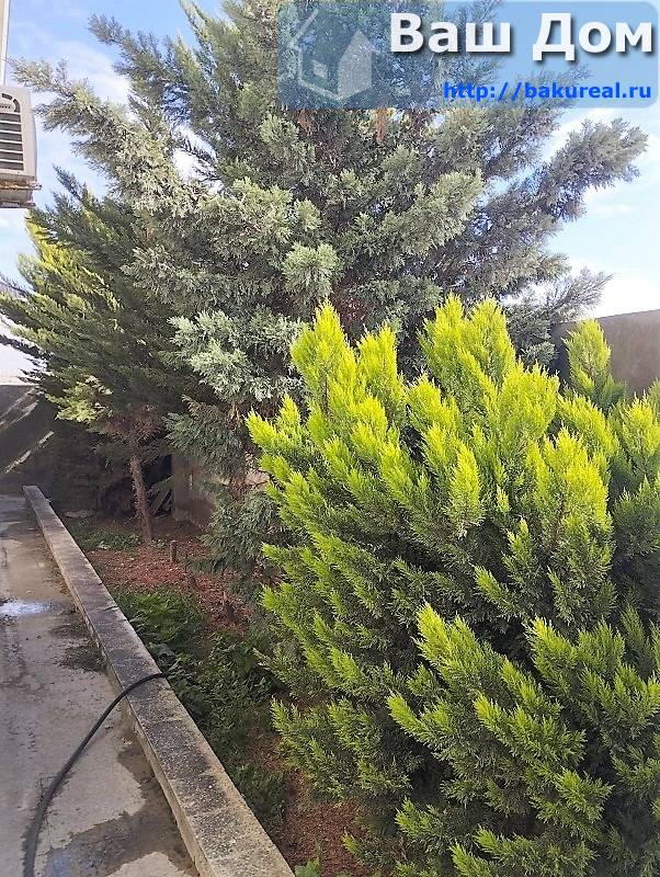 продаётся дом у моря 120 кв/м на 5 сотках