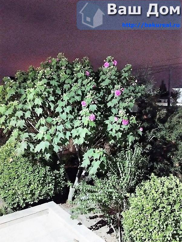 продаётся дом у моря 120 кв/м на 5 сотках