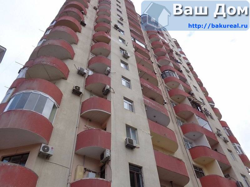 сдаётся 3 комнатная солнечная квартира в новостройке