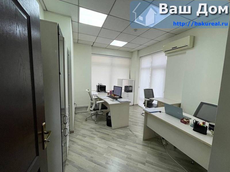 13c165ea-2bb0-4821-aa88-031f7977a79d