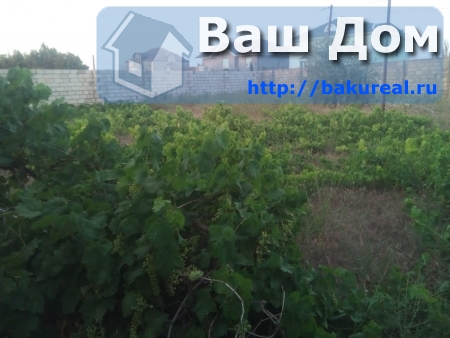 земельный участок у моря Баку Новханы 6 сот